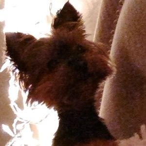 Meet your Posher, Jason